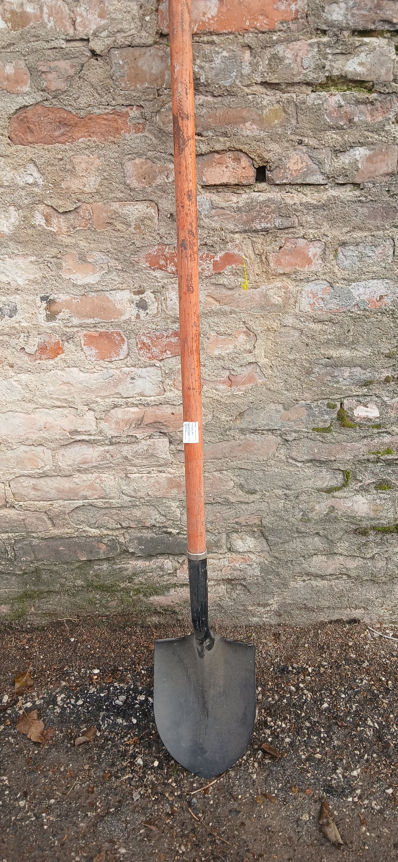 Ásó-Lapát + nyél termék fő termékképe