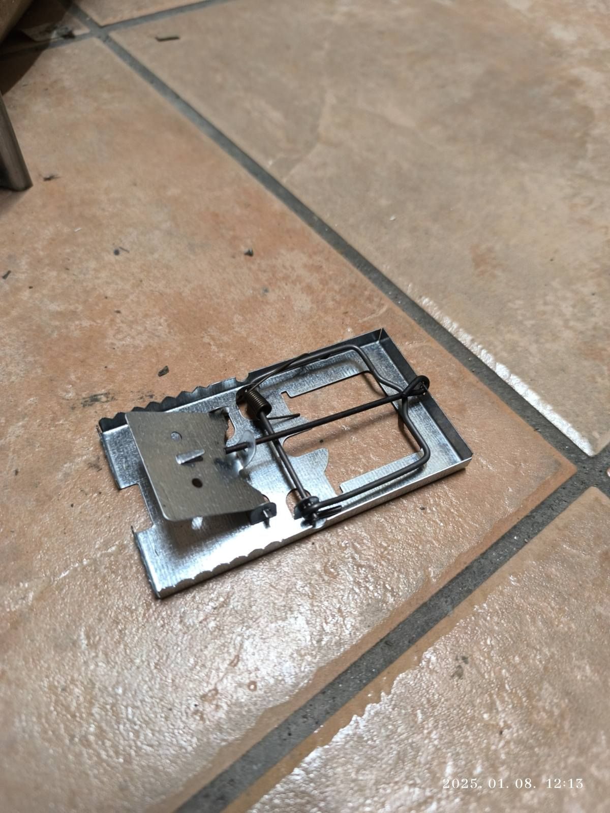 Egérfogó hagyományos fém termék fő termékképe